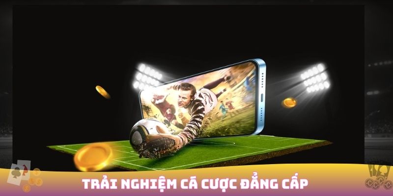 Cá cược thể thao với nhiều môn thi đấu