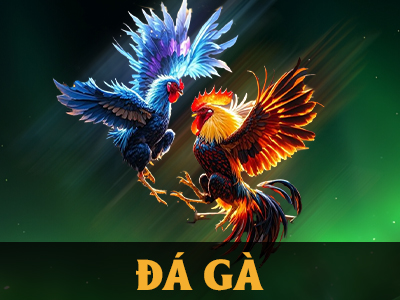 Kịch tính nảy nửa cùng đá gà Do99